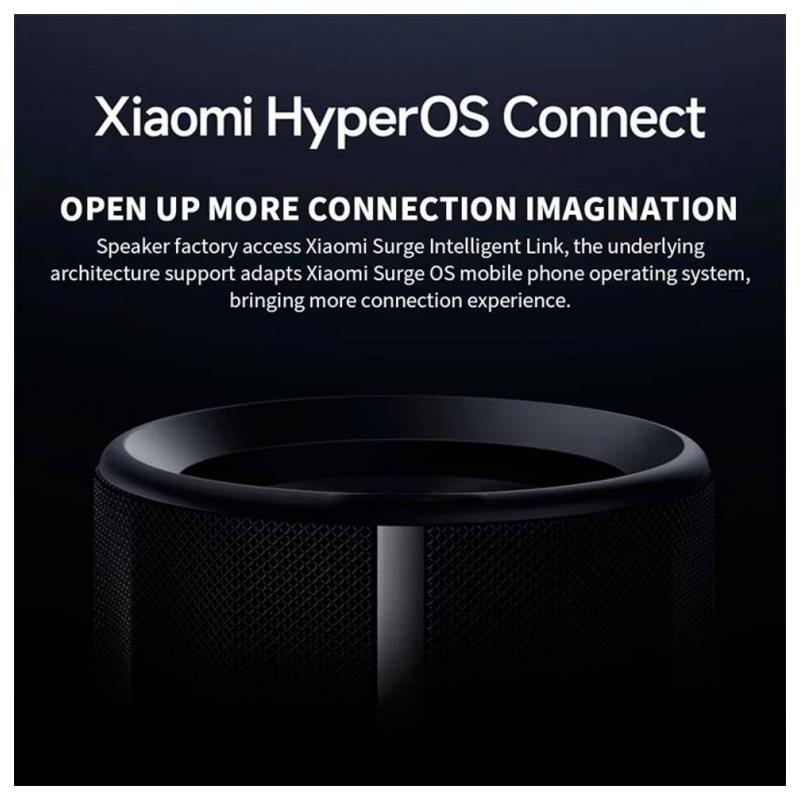Φορητό Ηχείο Bluetooth Αδιάβροχο Xiaomi 40W Μαύρο