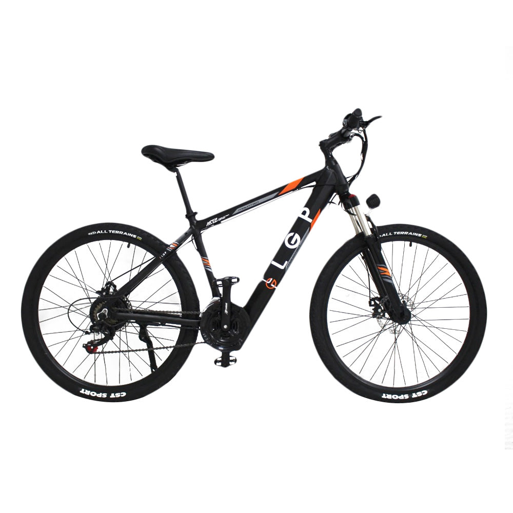 LGP Mountain E-Bike 36V 250W 'Rebel'