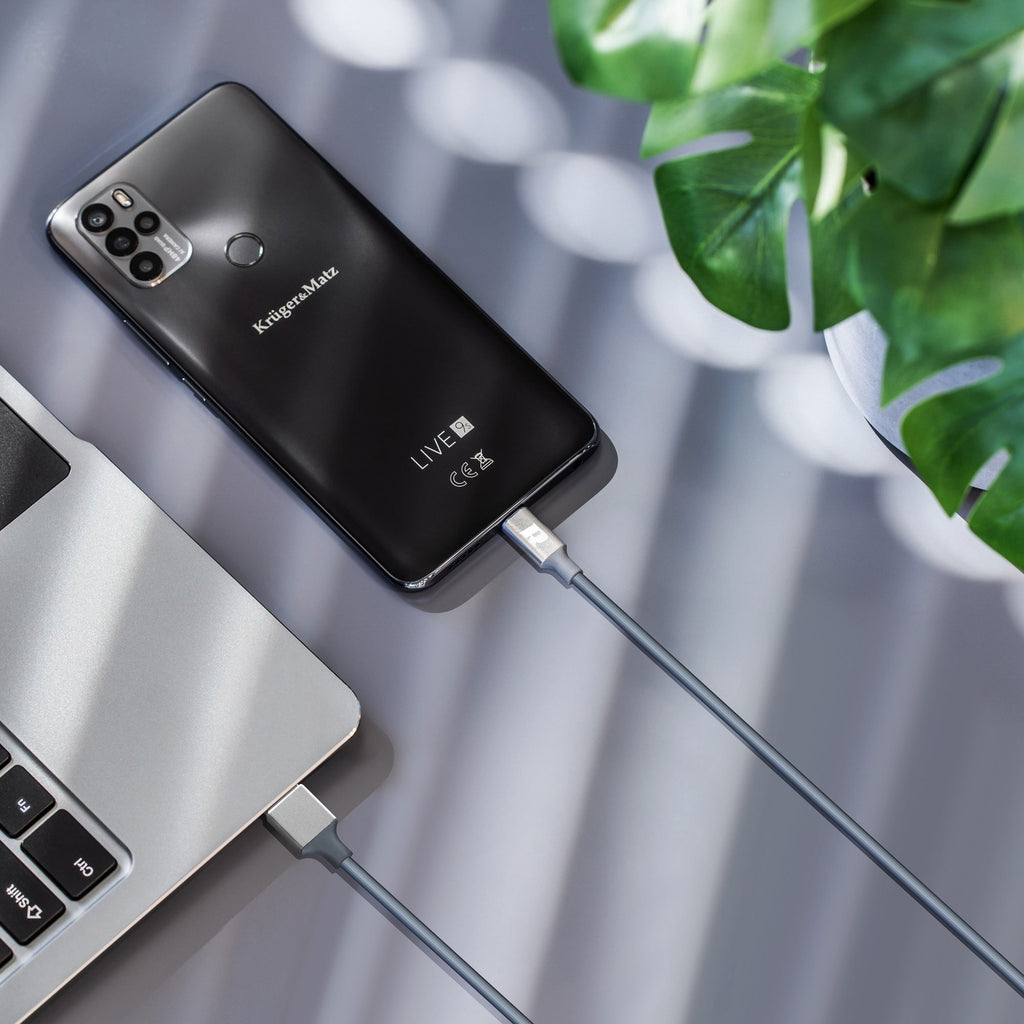 Καλώδιο USB 3.0 - USB Type-C 2m Rebel μαύρο