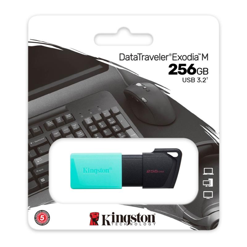 USB 3.2 Flash Disk Kingston Exodia DTXM USB A 256GB Πράσινο