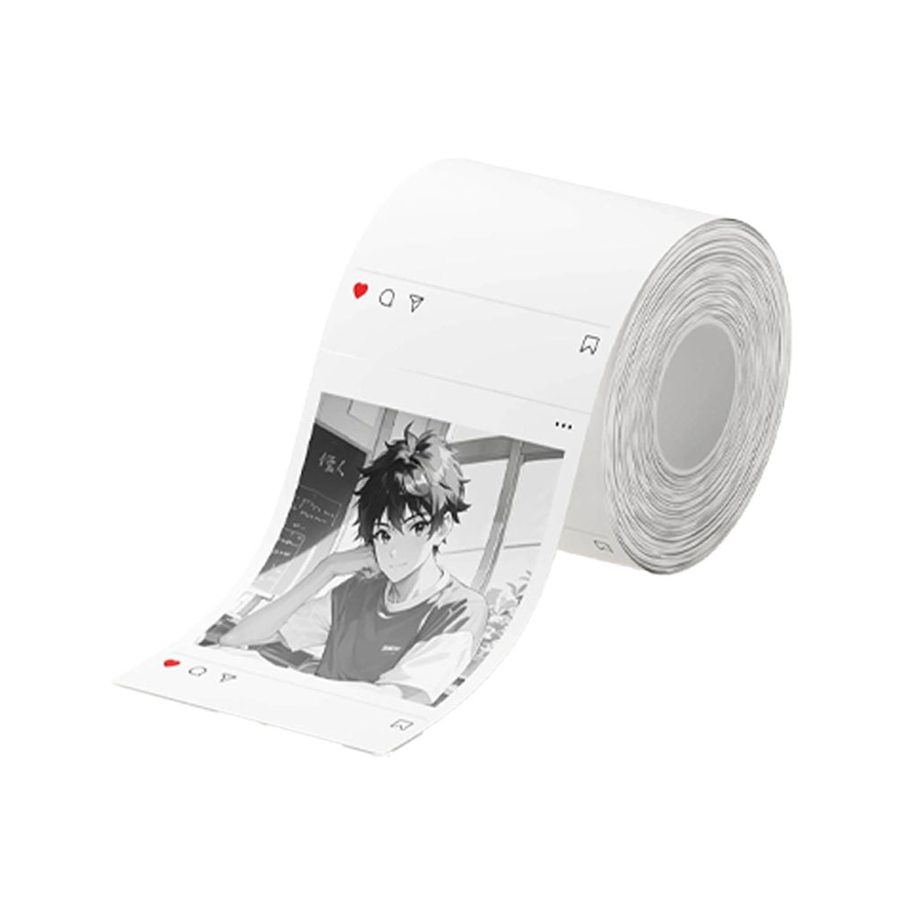 NIIMBOT THERMAL LABEL T54*67-120SNS COLORED WHITE