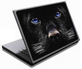 LAMTECH 9.2'-12.4' LAPTOP SKIN DOG BLUE EYES